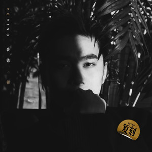 午夜精品福利视频
