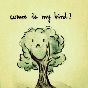 午夜精品福利视频
